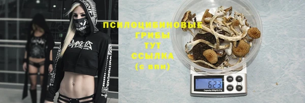бошки Бугульма