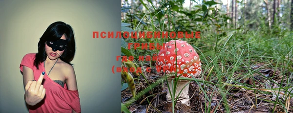 экстази Бикин