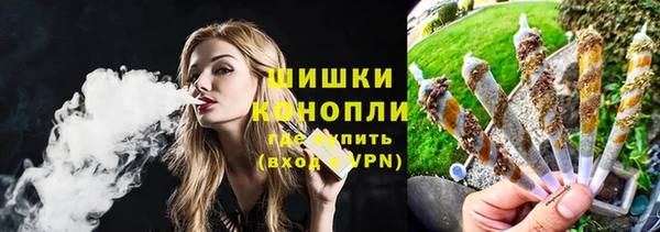 гашик Богданович