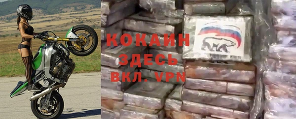 гашик Богданович