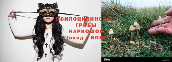 скорость Богородицк