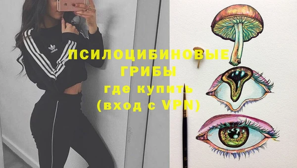 гашик Богданович