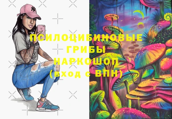 apvp Бежецк